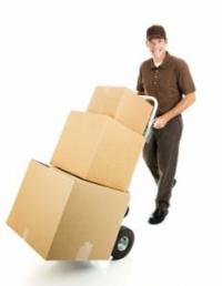 Desi Movers Logo