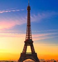 Arif SEO Expert Logo