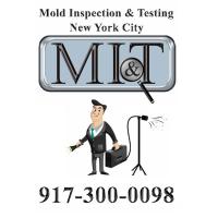 Mold Inspection & Testing New York City Logo
