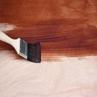 Hurry Curry Paint Logo