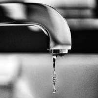 Pine St. Plumbing Logo