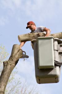 Gera's Tree Trimming Logo
