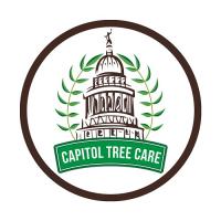 Capitol Tree Care Logo