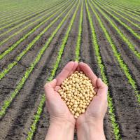 Cen-Tex Seed Inc Logo