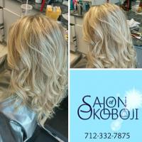 Salon of Okoboji Logo