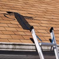 Big Sky Roofing Co Logo