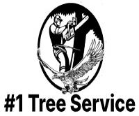 #1 Tree Service Wichita Falls Logo
