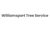 Williamsport Tree Service Logo