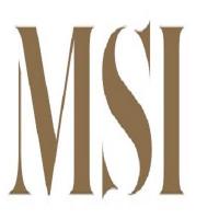 MSI Los Angeles Logo