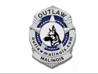 Outlaw Malinois Logo
