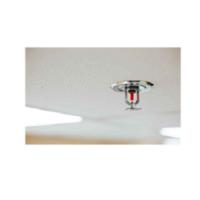 Advanced Fire Solutions, Inc Logo
