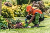 Timonium Landscaping Logo