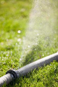 Olveras Landscaping Pro Company Logo