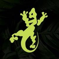 Neon Lizard Creative Marketing & Design, LLC Logo