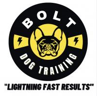 Bolt Dog Training Logo