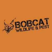 Bobcat Wildlife & Pest Management Logo