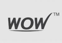 Wow Hair Vanish Logo