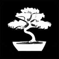 Bonsai Mary Logo