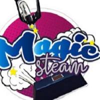 Magic Steam Carpet Cleaning Logo