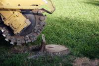 Above and Beyond Tree Service Logo