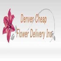 Same Day Flower Delivery Denver CO - Send Flowers Logo