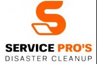 Louisville Water Damage Pros Logo