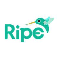 Ripe Media logo