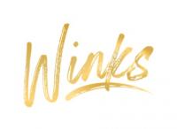 Winks Photo Booth logo