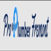 Pro Plumber Fremont Logo