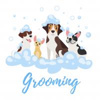 Four On The Floor Grooming 2  Logo