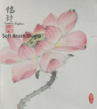 Soft Brush Studio Logo