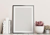 Shark Framing Logo