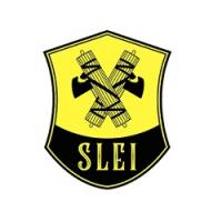 Saller, Lord, Ernstberger & Insley Logo