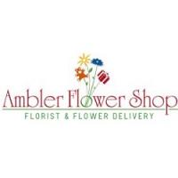 Ambler Flower Shop Florist & Flower Delivery logo