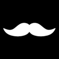 Stache Junk Removal & Property Services Logo