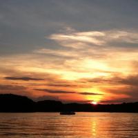 Saltshaker Marine Logo