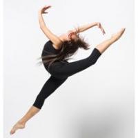 Premier Movement Studio Logo