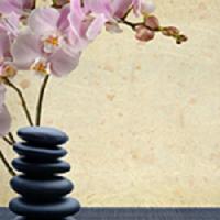 Ruby's Day Spa Logo