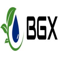 BGX USA Logo