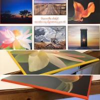 Peninsula Laminations LLC Logo
