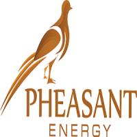Pheasant Energy Logo