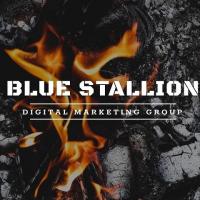 Blue Stallion Digital Marketing Group Logo