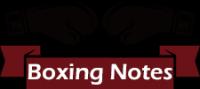 Boxing Notes Logo