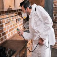 Rapid Pest Control Chula Vista Logo