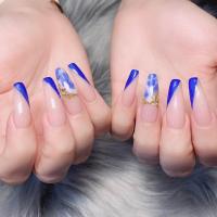 Posh Nail Spa Logo