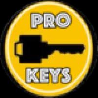 pro keys locksmith Logo