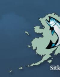 Kingfisher Charters LLC Logo