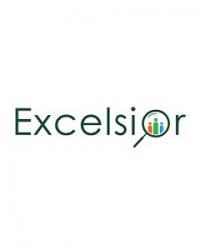 Excelsior Financial Technology Recruiters Logo