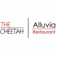 Cheetah Lounge logo