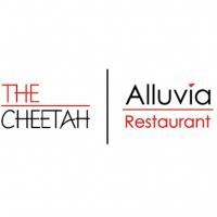 Cheetah Lounge Logo
